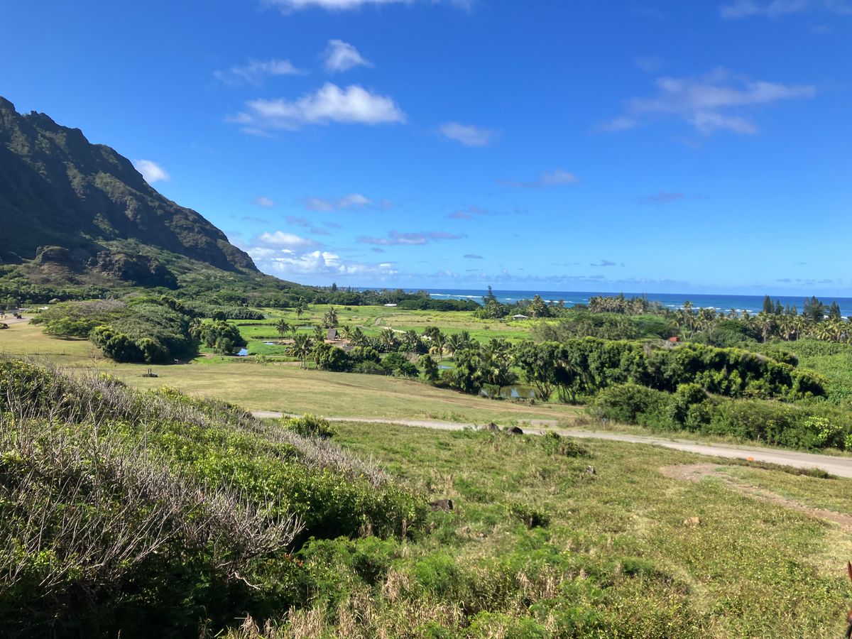 クロアツアー All Reviews) Page 9) Kualoa Ranch Jurassic Valley Tours (Top