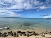 鉄板南部ドライブコース