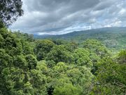 世界三大熱帯雨林