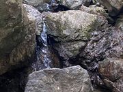 想像よりは水量少なめでした。