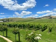 訪問したワイナリーの一つ