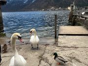 おとぎ話に迷い込んだ？