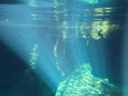 グランセノーテ