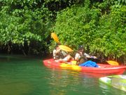 マングローブ真下真横まで行けました。