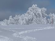 さらに寒すぎるけど