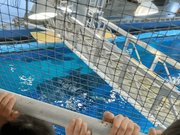美ら海水族館_黒潮探検
