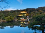 プロ並みの腕前。😊😉