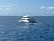 OceanQuestまでの移動の船