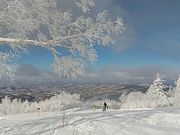 年末の寒波で、ゲレンデがきれいな景色に仕上がってました