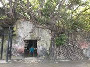 ガジュマルに覆われた安平樹屋（塩倉庫跡地）