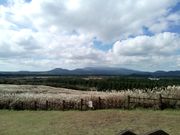 サングムブリから見る漢拏山