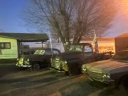 夜のセリグマン