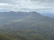 雄大なブルーマウンテン