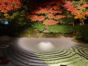 圓徳院の(石)庭園