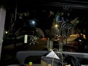 バスの1番前を取れました