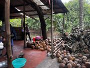 ココナッツ加工場