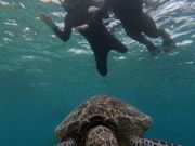 ウミガメと　ベストショット