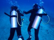 夫婦でダイビング最高です