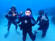 今回も主役はママでした。