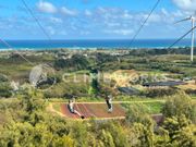 スタッフが撮った写真