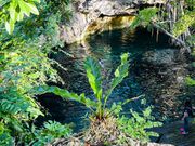 グランセノーテ