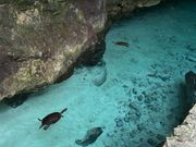 グランセノーテ