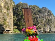 ロングテールボート