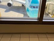 フライングホヌ