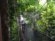 吊り橋（スリルあり）