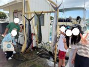 カジキとシイラが釣れた(^O^)