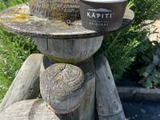 ジェラルディンのホーキーポーキー