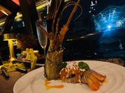 食事も悪くない感じでした