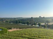 メーファールアンガーデンにて