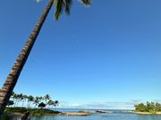 アウラニ のビーチ