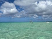 干潮時がオススメ