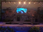 アニマルショー