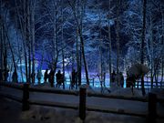 青い池。トイレの個数が少なく、非常に汚いため、この前の休憩で済ませておくべき。