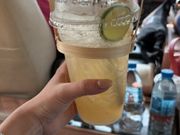 ガイドさんから