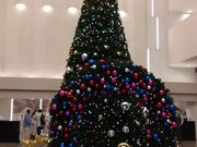 昼食ホテルロビー