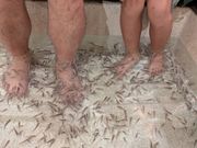 ドクターフィッシュ