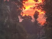 紅茶鉄道の車窓から