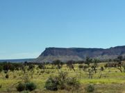 キングスキャニオン