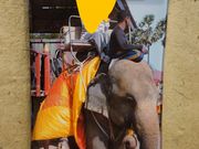 象乗り体験の写真が買えます