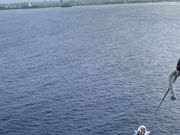 パラセーリングからの景色