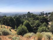 エントト山のふもと