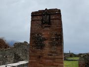 日本では紹介されないそう