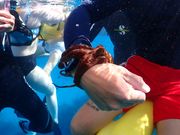 タコが手にくっついている