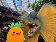 恐竜と一緒に写真が撮れちゃう！