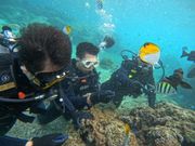 色とりどりの魚に餌付け