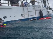 シュノーケル。あいにくの雨に振られてしまいましたが、海の下はたくさんの魚たちがいました